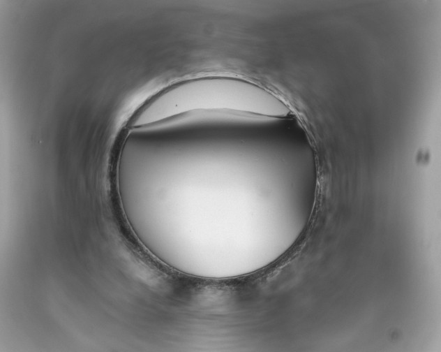 X0000091070248200709041225