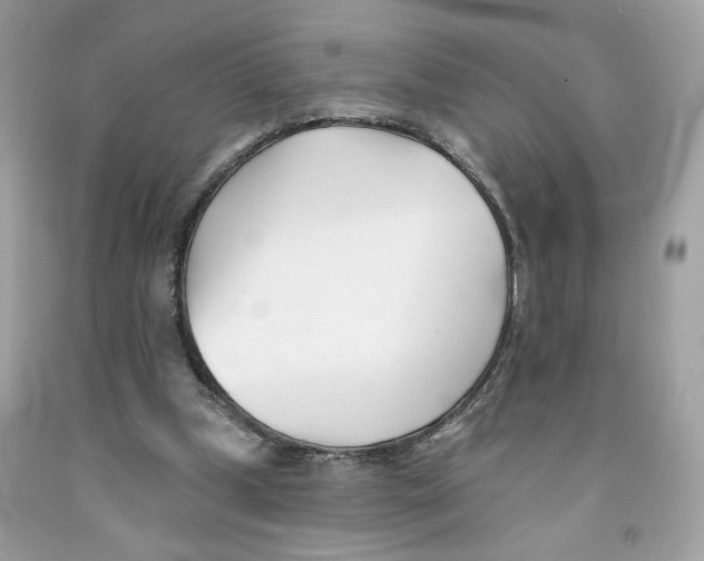 X0000091070249200709041225