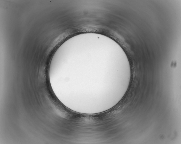 X0000091070250200709041225