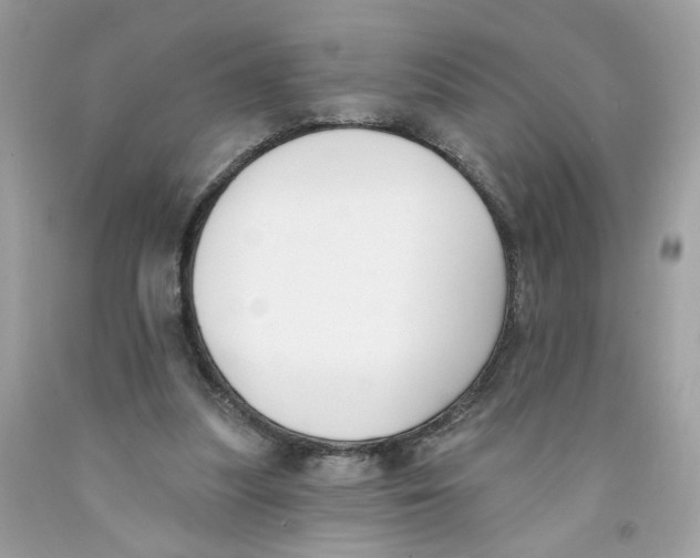 X0000091070251200709041225