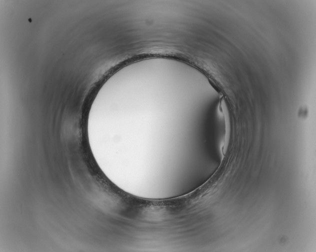 X0000091070252200709041225