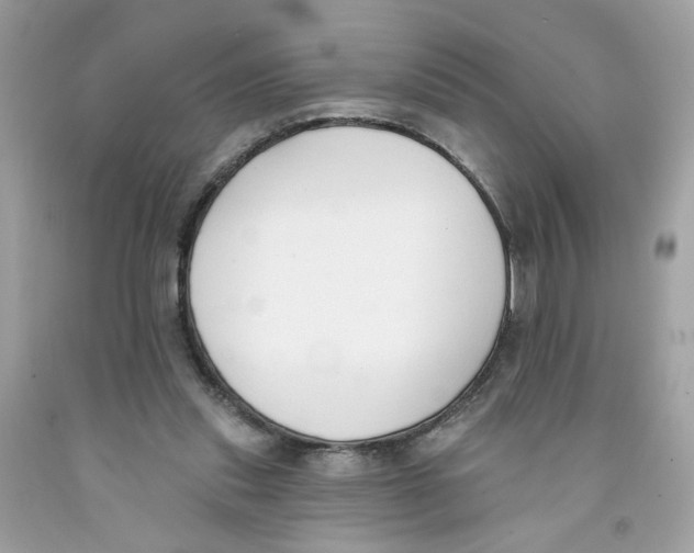 X0000091070253200709041225