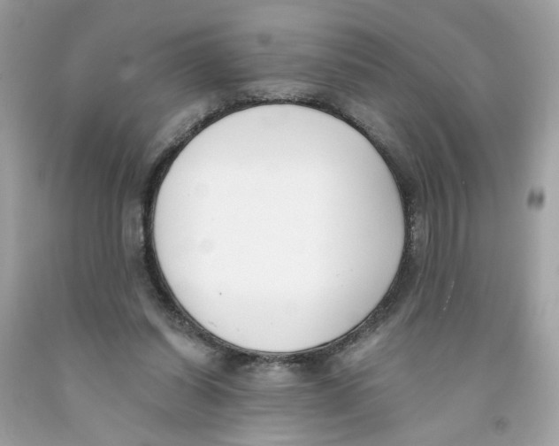 X0000091070254200709041225