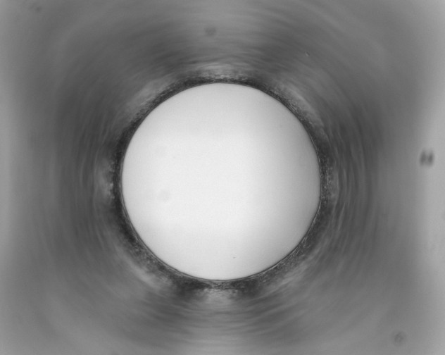 X0000091070255200709041225