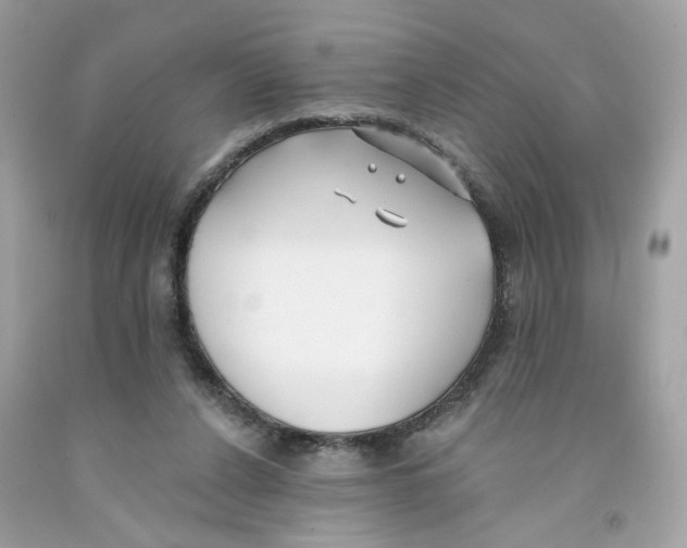 X0000091070256200709041225