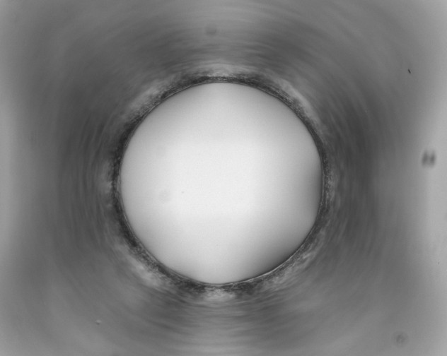 X0000091070257200709041225