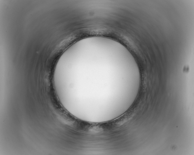 X0000091070258200709041225