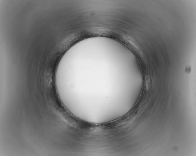 X0000091070259200709041225