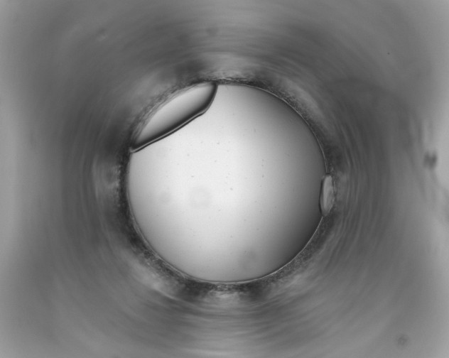 X0000091070260200709041225