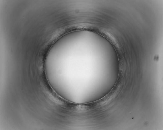 X0000091070261200709041226