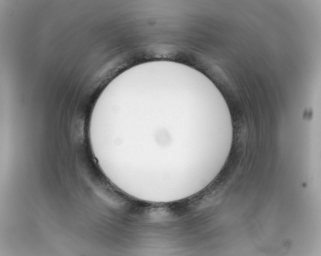 X0000091070262200709041226