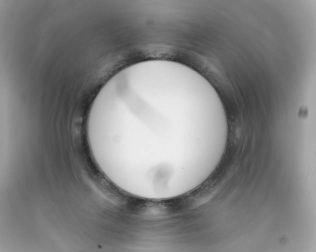 X0000091070263200709041226