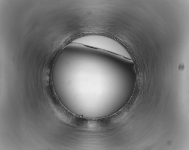X0000091070264200709041226