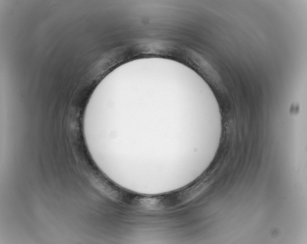 X0000091070265200709041226