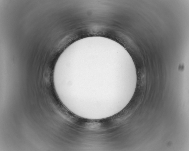 X0000091070266200709041226