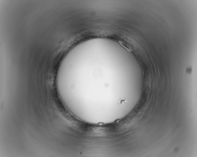 X0000091070268200709041226