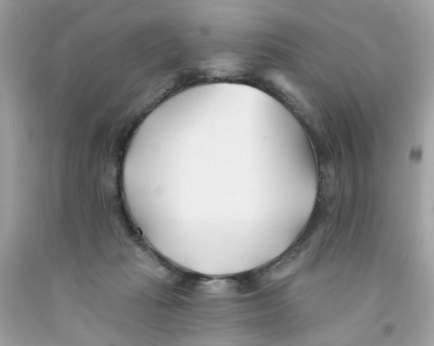 X0000091070269200709041226