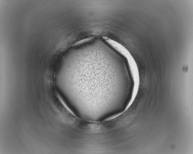 X0000091070272200709041226