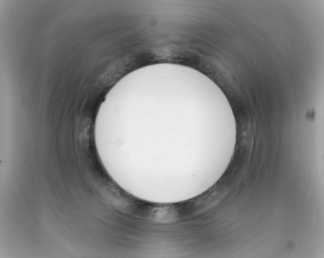 X0000091070275200709041226