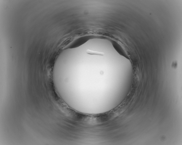 X0000091070276200709041226