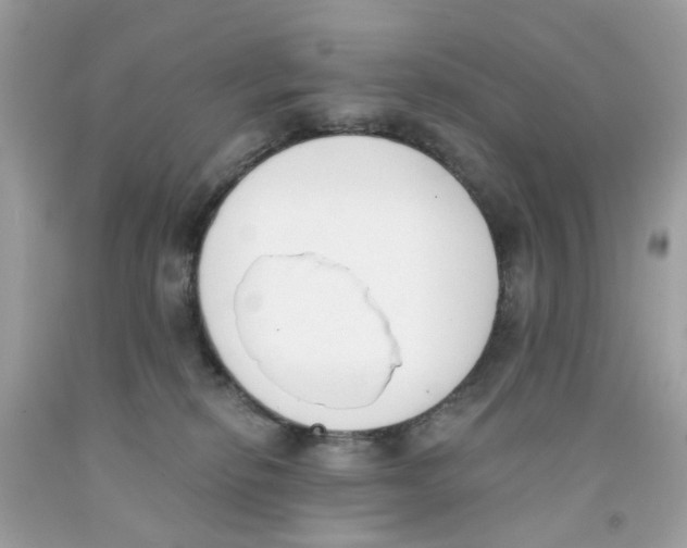 X0000091070278200709041226