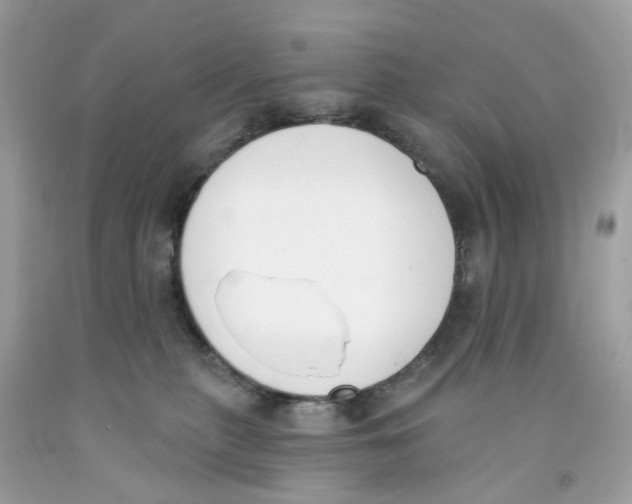 X0000091070279200709041226