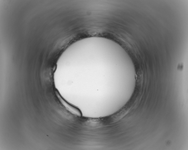X0000091070280200709041226