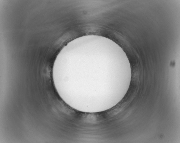 X0000091070282200709041226