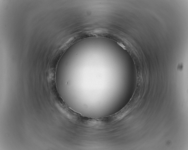 X0000091070284200709041226