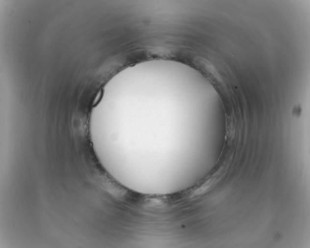 X0000091070285200709041226