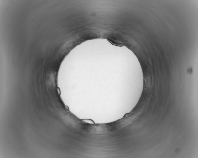 X0000091070286200709041226