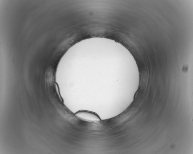 X0000091070287200709041226
