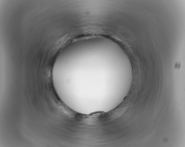 X0000091070288200709041226
