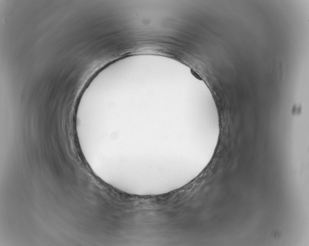 X0000091070289200709041225
