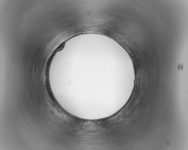 X0000091070290200709041225