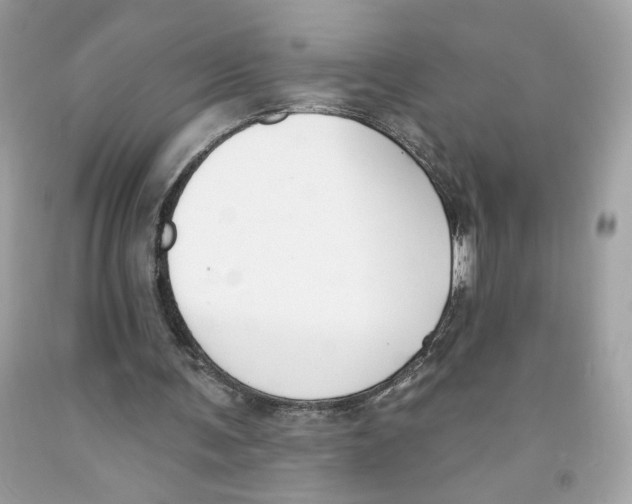 X0000091070291200709041225
