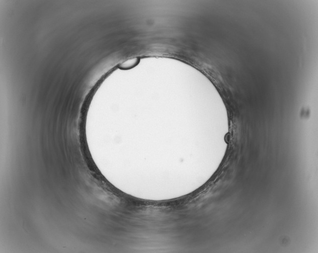 X0000091070292200709041225