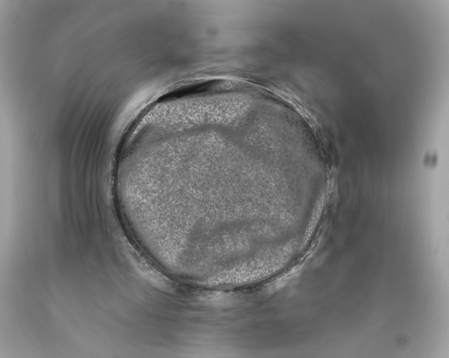 X0000091070293200709041225
