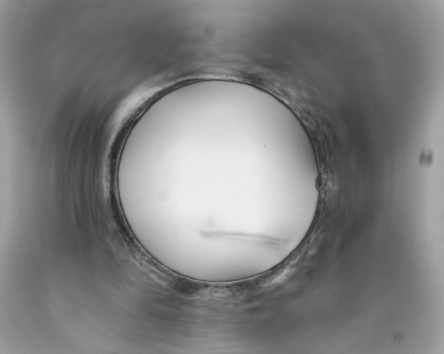 X0000091070294200709041225