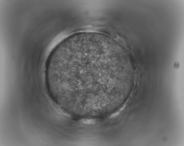 X0000091070295200709041225