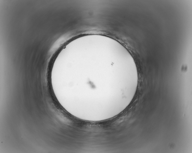 X0000091070296200709041225