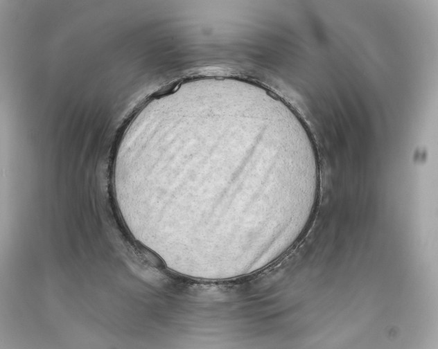 X0000091070297200709041225