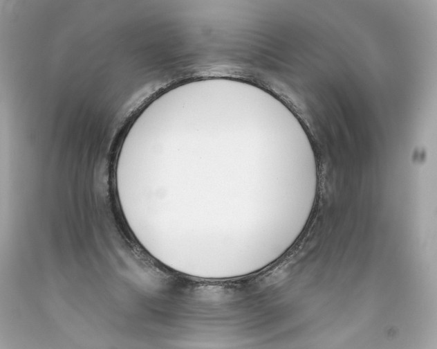 X0000091070298200709041225