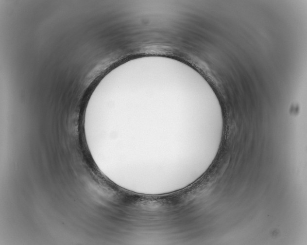 X0000091070299200709041225