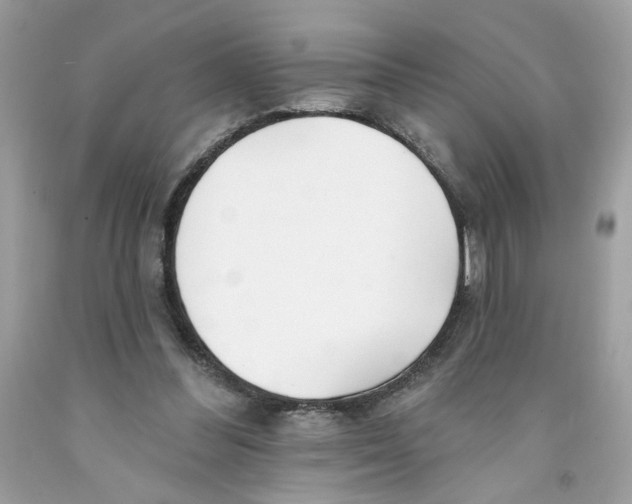 X0000091070300200709041225