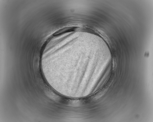 X0000091070301200709041225