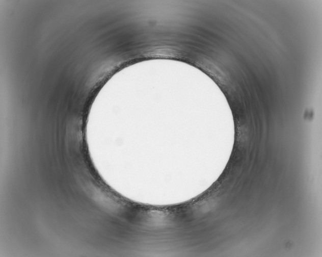 X0000091070302200709041225