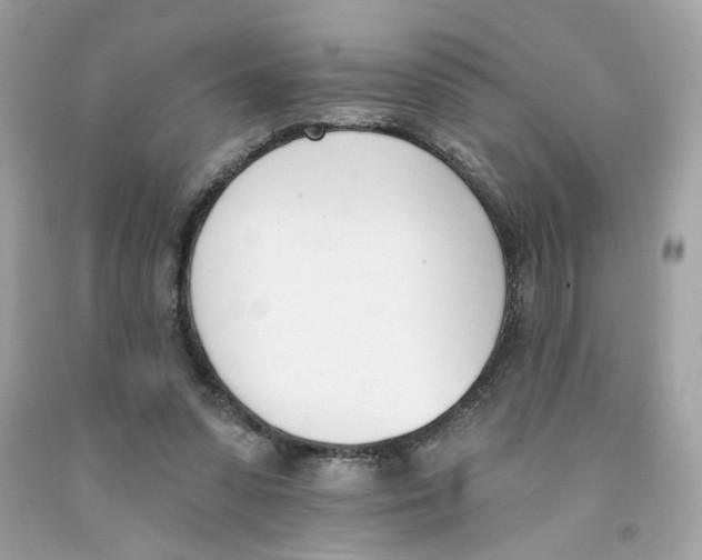 X0000091070303200709041225