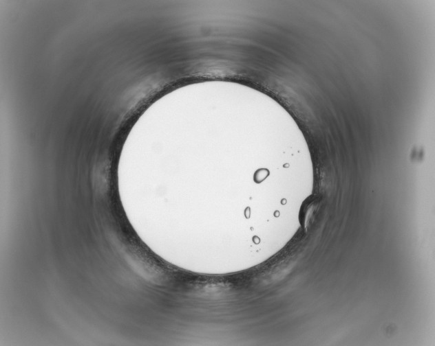 X0000091070304200709041225