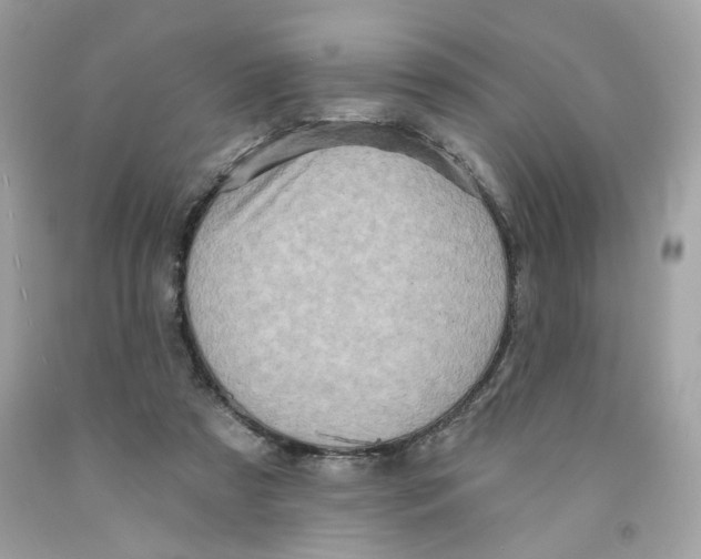 X0000091070305200709041225